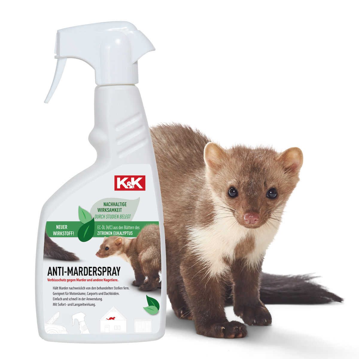 Neues Anti-Marderspray: K&K setzt neue Maßstäbe in der Duftabwehr