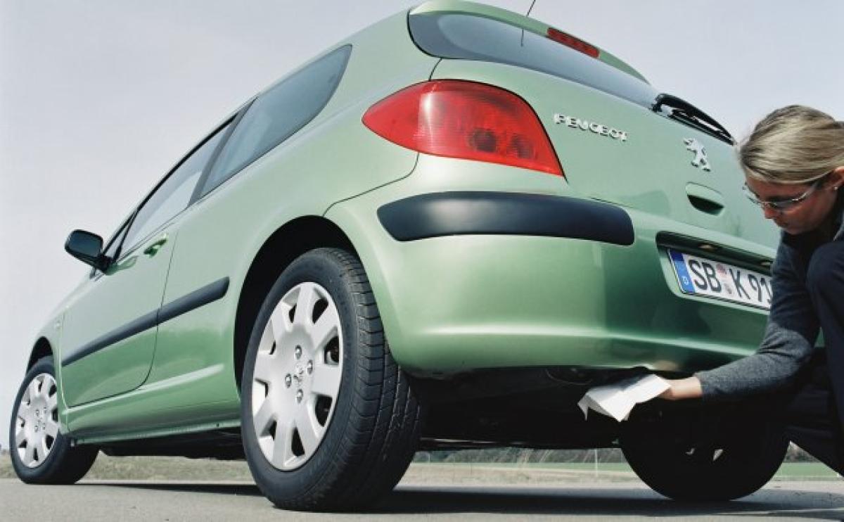 Diesel-Pläne in Frankreich