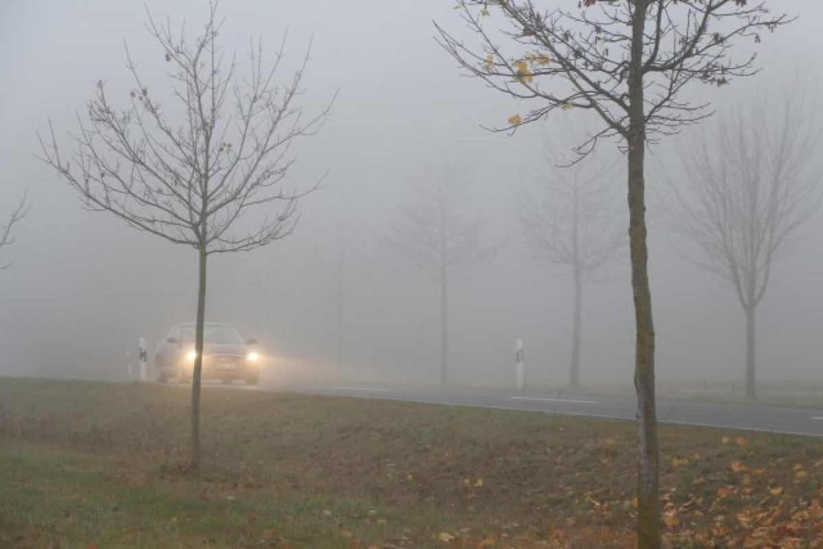 Richtige Beleuchtung bei Nebel