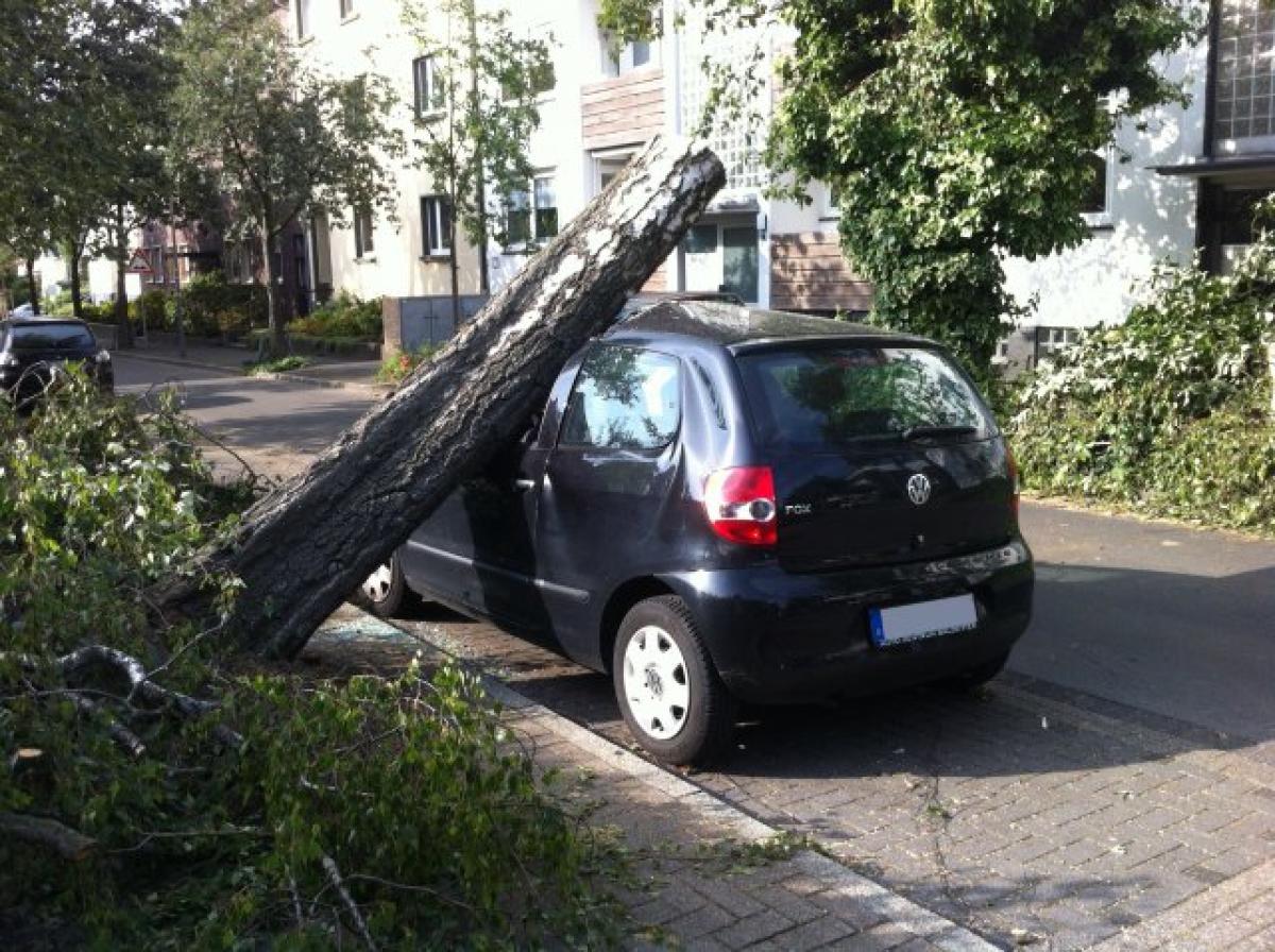 Sturmschäden am Auto