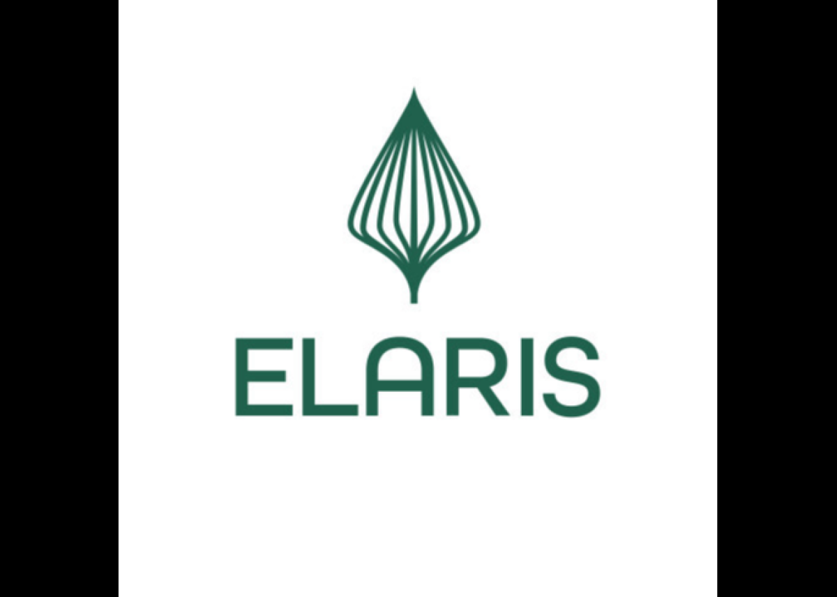 Elaris-Kommentar: Das Auto muss sich dem Menschen anpassen