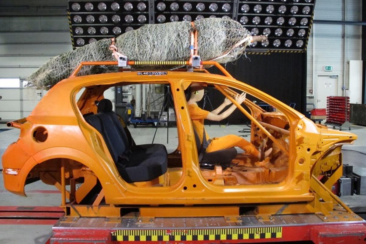 Weihnachtsbaum-Transport 