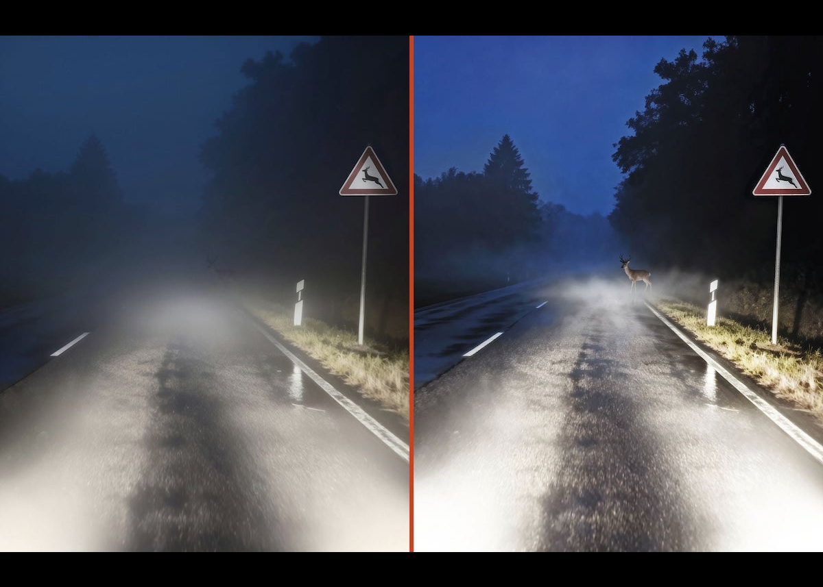 Bei Nacht und Nebel: Kameras von AUMOVIO für mehr Durchblick und Sicherheit bei schlechter Sicht