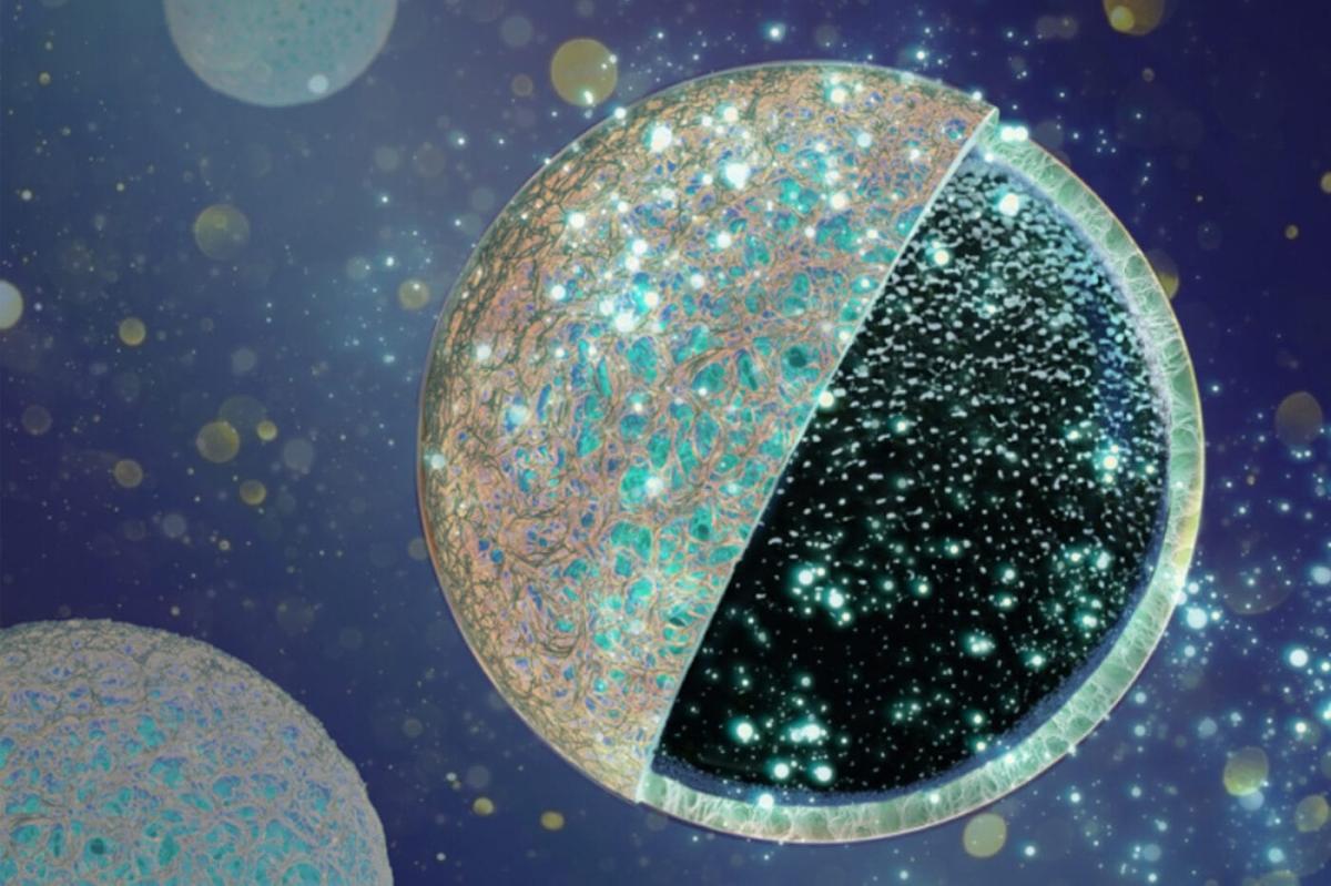 BAM entwickelt neues Anodenkonzept für Natrium-Ionen-Batterien