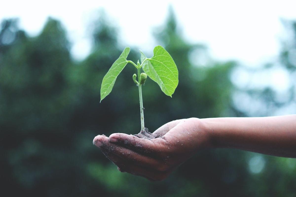 Imperial mit CO2-Kompensationsprogramm