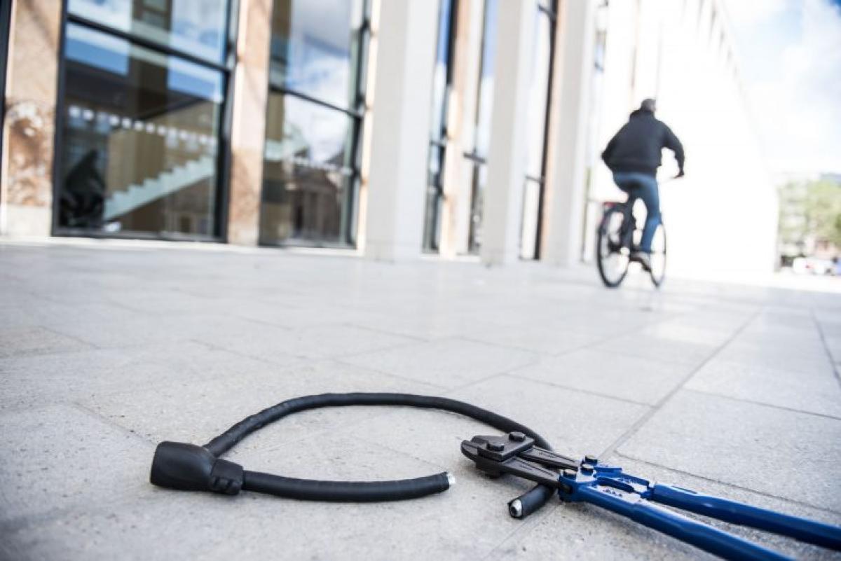Digitaler E-Bike-Schutz
