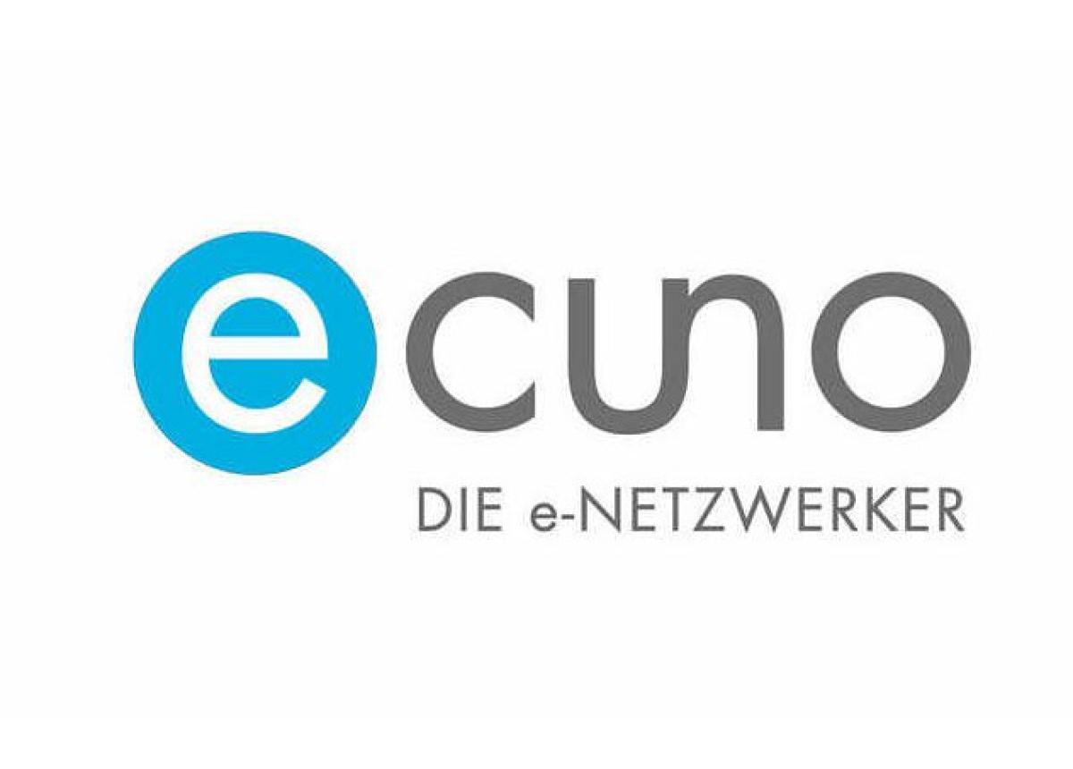 Fördermittel-Beratung und -Begleitung: e-Cuno begleitet Unternehmen durch den Förder-Dschungel 