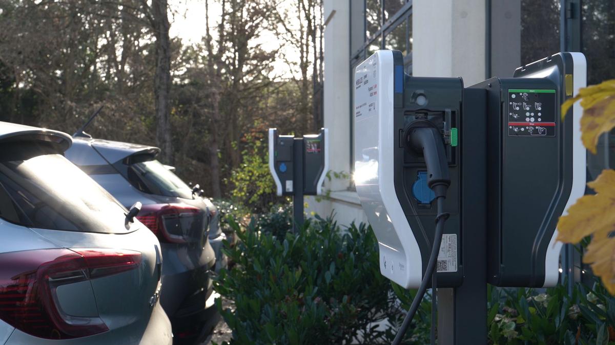 Elektromobilität für die Flotte: Fahrzeuge und Ladelösungen von Mobilize Power Solutions 