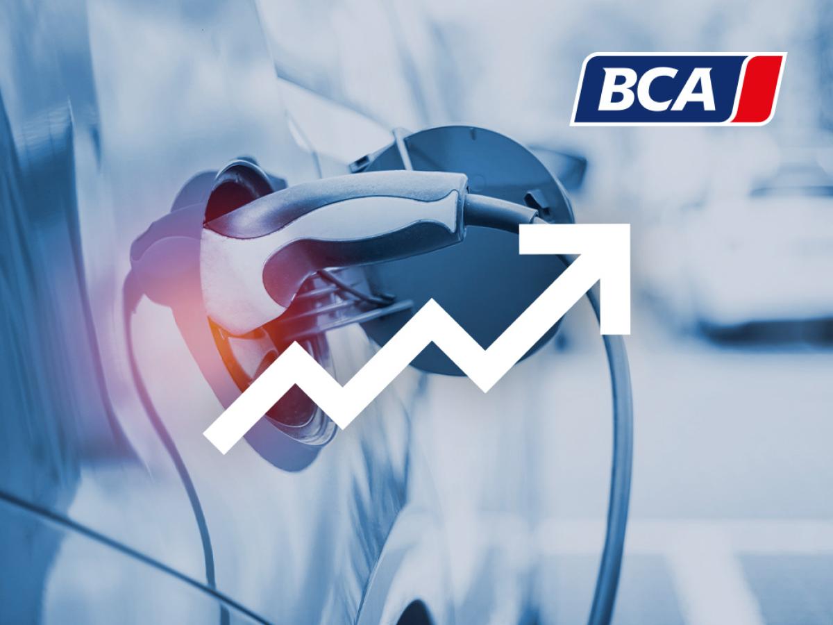 Wertentwicklung von E-Autos