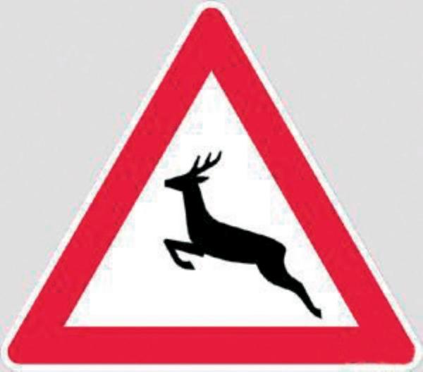 Skurrile Verkehrswelt