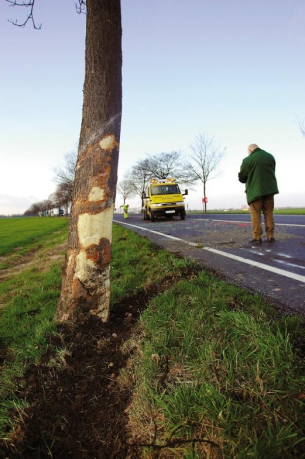 Der Wegeunfall