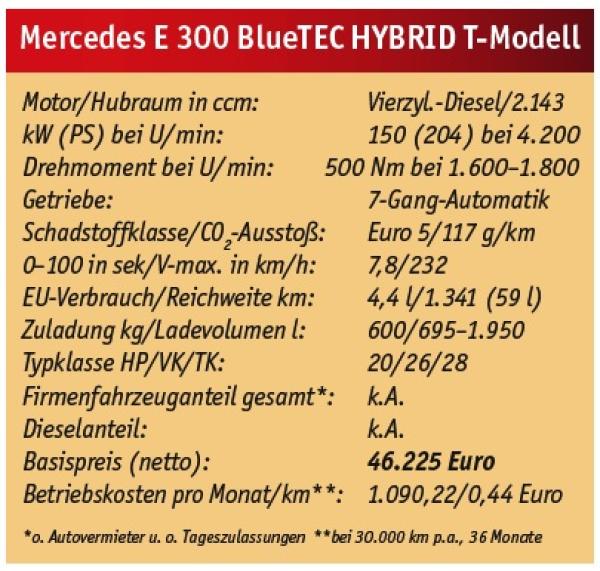 Ein Stern für alle Fälle