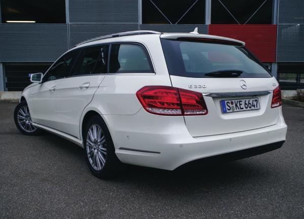 Stern an der Basis