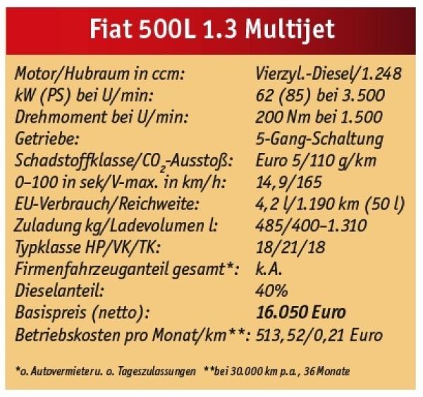 500 ganz erwachsen