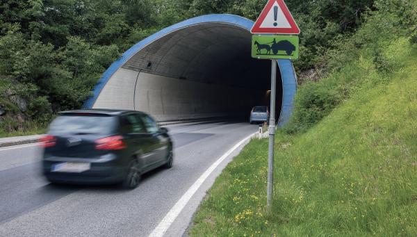 Tunnelblick