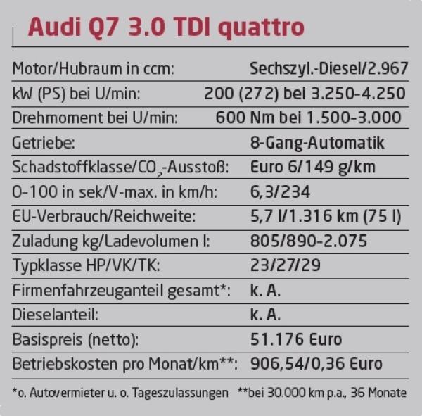 Großer Q