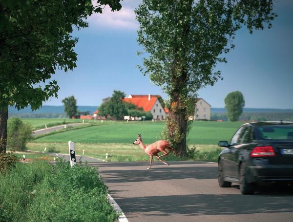 Hätten Sie’s gewusst?