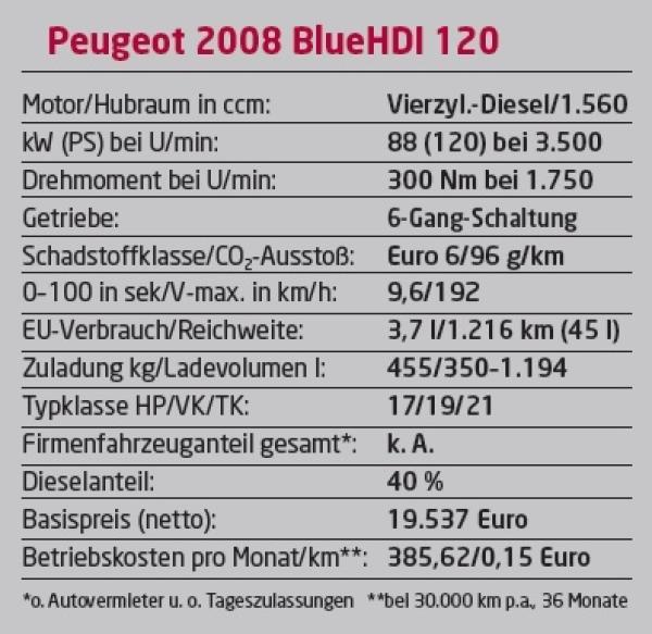 Neues Gesicht
