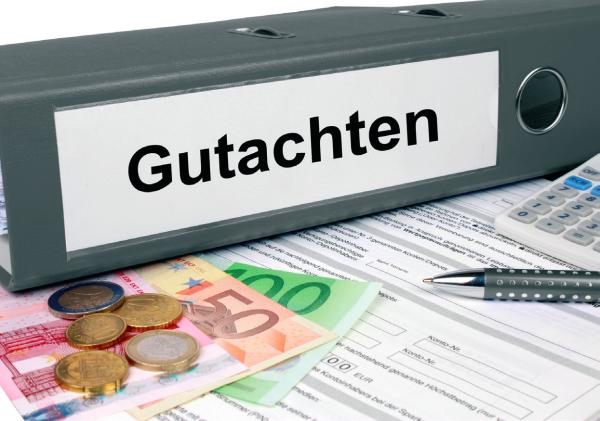 Mit Sachverstand
