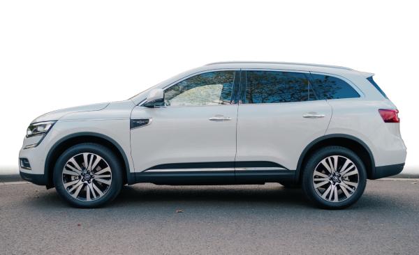 Nützliche Schönheit