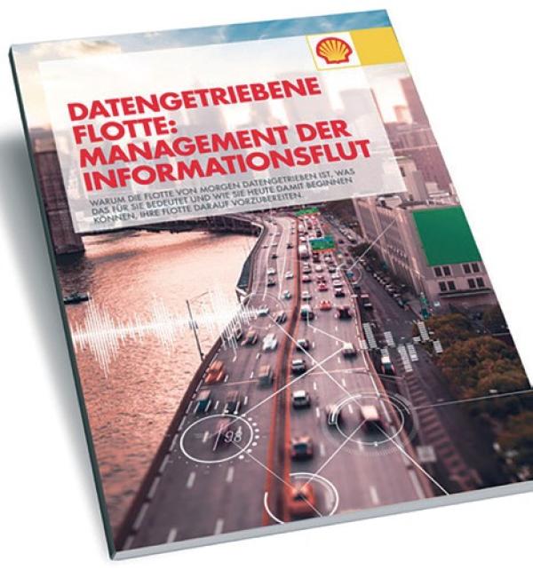Studie zum Thema Big Data