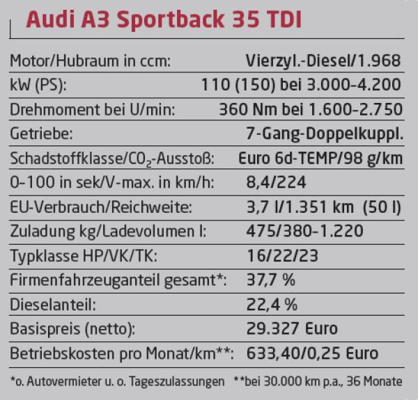 Große Evolution