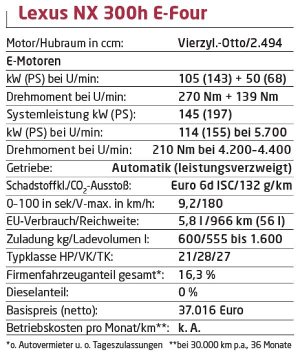 Auf allen Vieren
