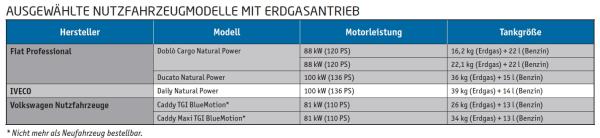 Eine rein elektrische Zukunft?
