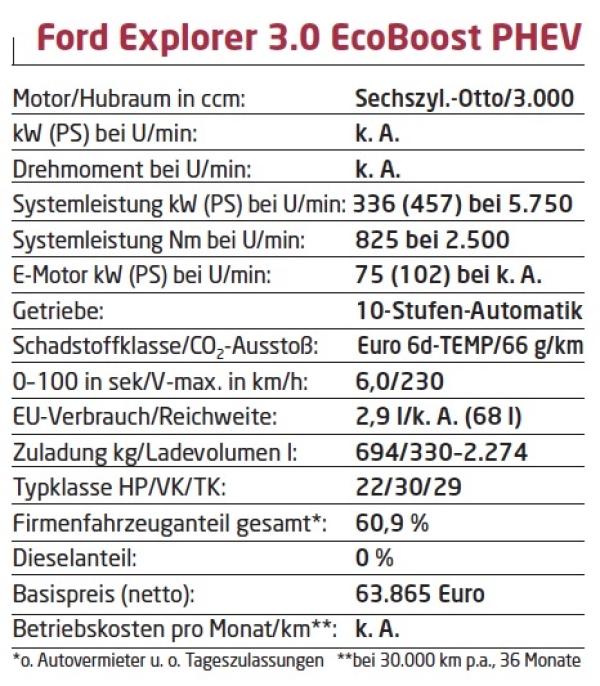 Auf Entdeckungstour
