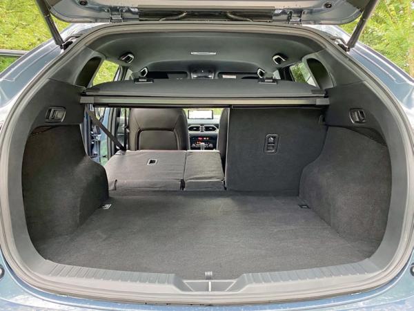 Der Allround-Profi