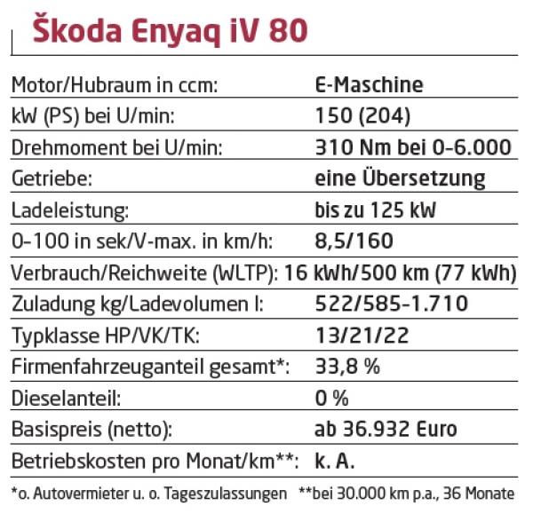 Elektrisch vollwertig