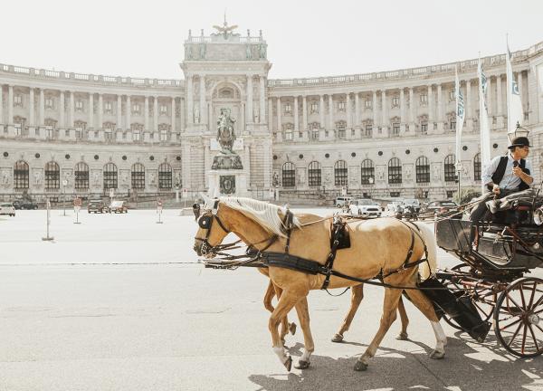 Veranstaltungsempfehlungen: Mobilität: Know-How auf den Punkt gebracht