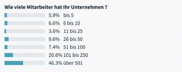Der liebe Firmenwagen und die Privatnutzung