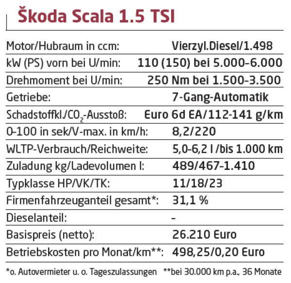 Kleiner ganz groß