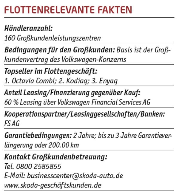 Große Antriebsvielfalt mit Strom im Gepäck