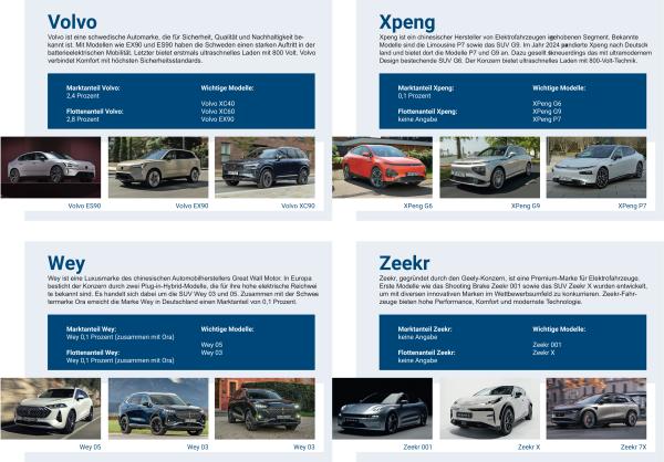 Marktübersicht relevanter Automobilhersteller