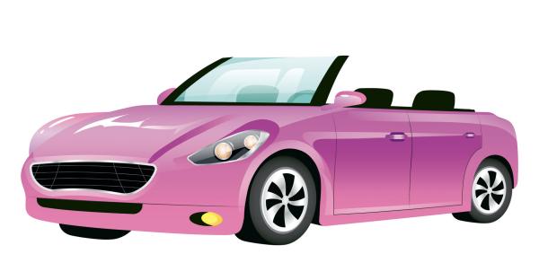 Gestaltungsmög in der Car Policy