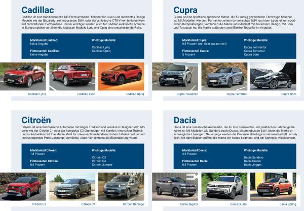 Marktübersicht relevanter Automobilhersteller