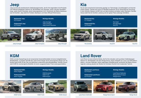 Marktübersicht relevanter Automobilhersteller