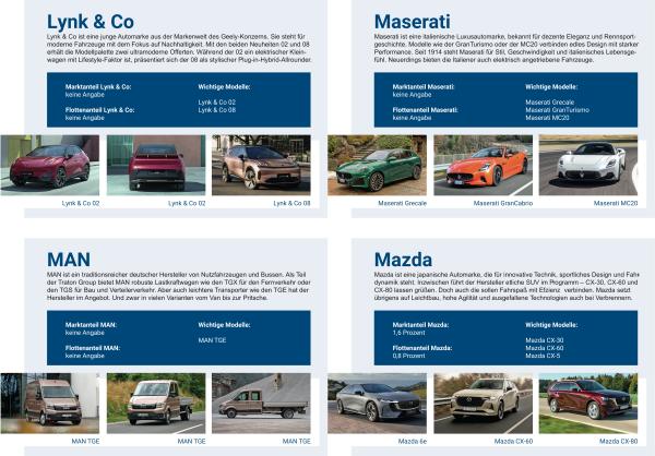 Marktübersicht relevanter Automobilhersteller