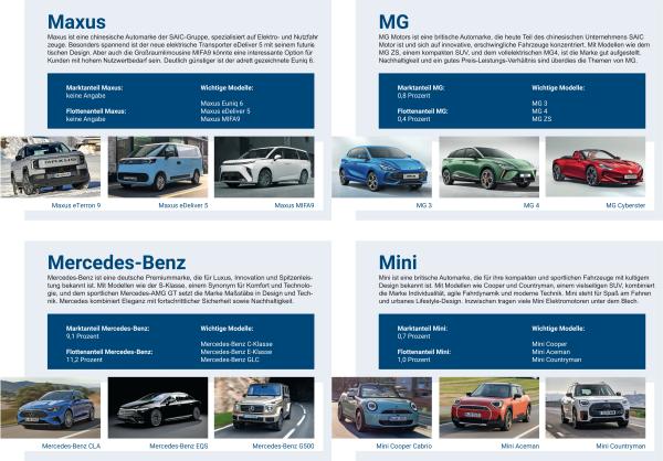 Marktübersicht relevanter Automobilhersteller