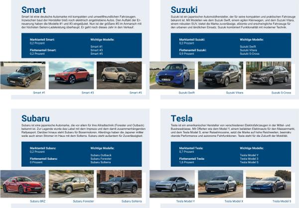 Marktübersicht relevanter Automobilhersteller